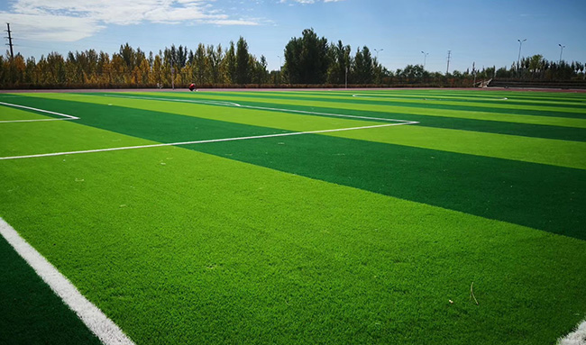 沈陽人造草坪的常見問題，如何選擇草高和密度？