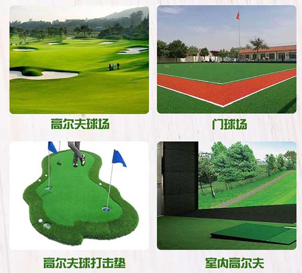 沈陽人造草坪廠家 沈陽人造草坪廠家